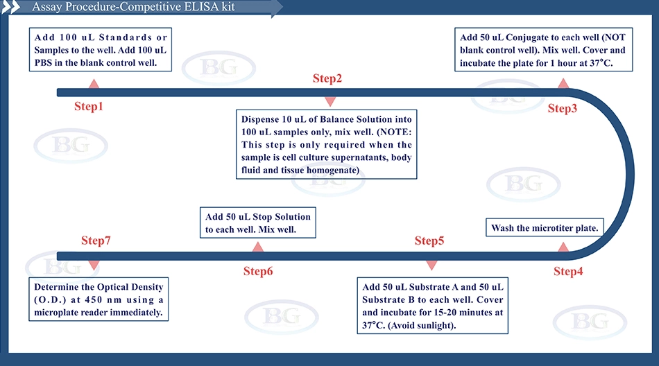 Summary of the Assay Procedure for Rabbit Superoxide Dismutase ELISA kit