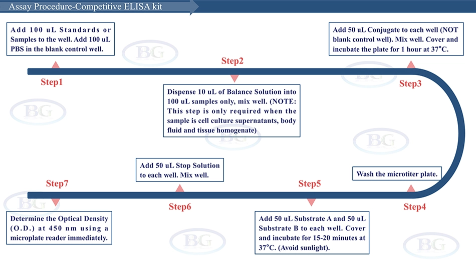 Summary of the Assay Procedure for Bovine Adenosine Monophosphate Activated Protein ELISA kit
