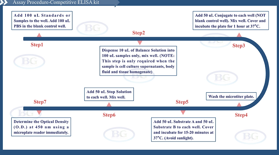 Summary of the Assay Procedure for Sheep Vitamin D3 receptor ELISA kit