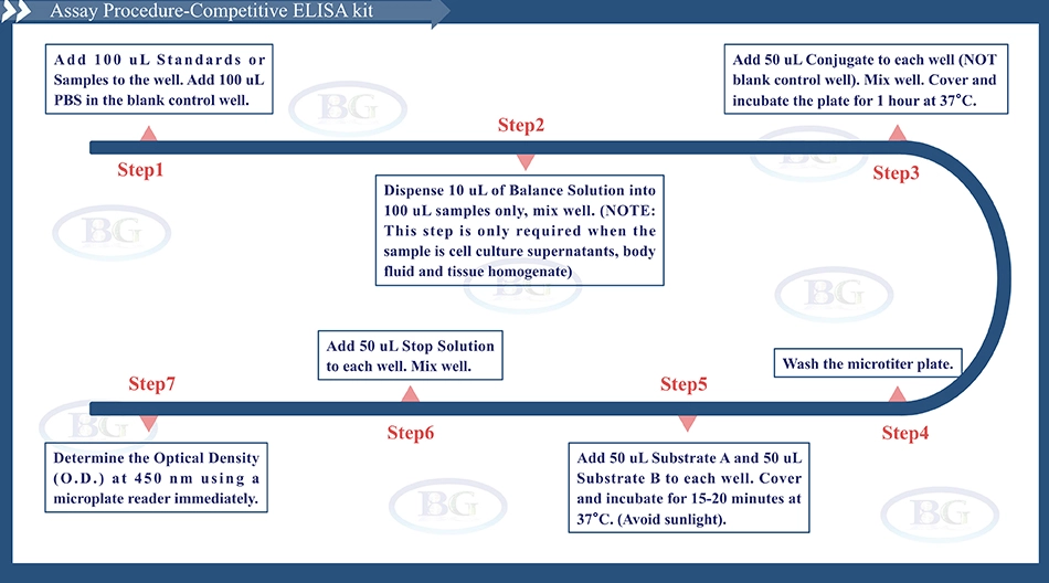 Summary of the Assay Procedure for Rat Alkaline Phosphatase ELISA kit