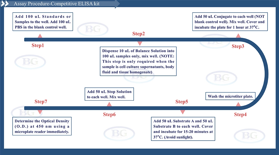 Summary of the Assay Procedure for Chicken Vascular Endothelial Growth Factor Receptor 2 ELISA kit