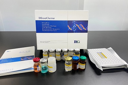 Adrenaline ELISA Kit in Neurological Disease Research