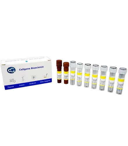 Host Cell DNA Residue Detection Kits