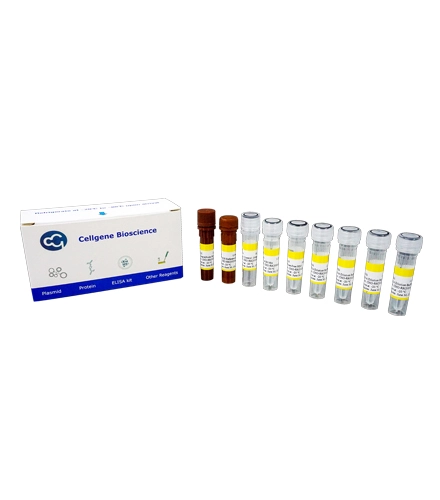 Host Cell DNA Residue Detection Kits