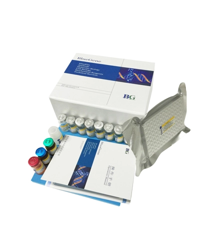 ELISA Kits